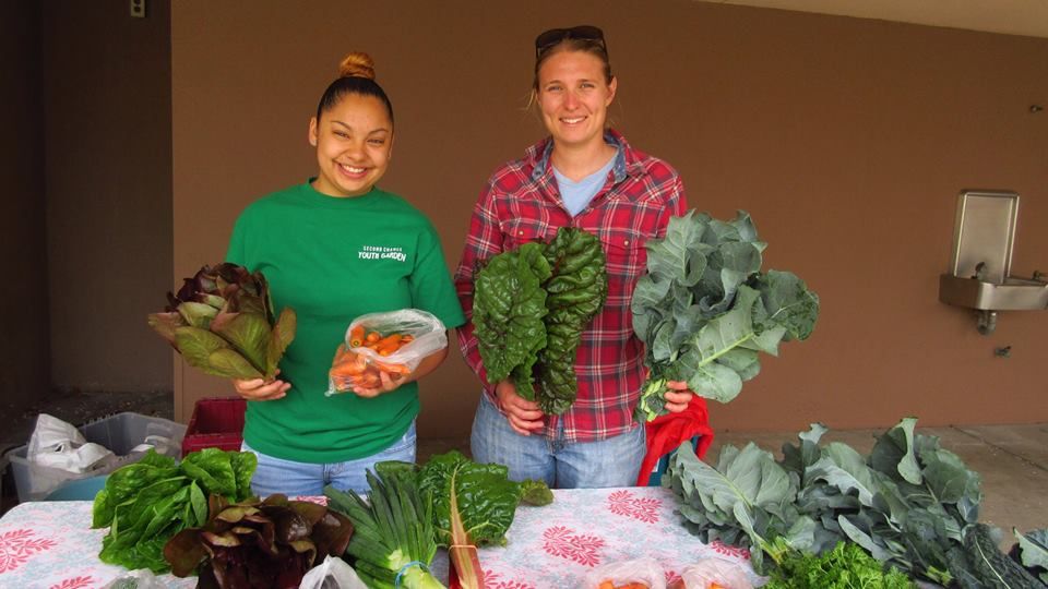 11667310_10152781882756184_4690214754120297961_n